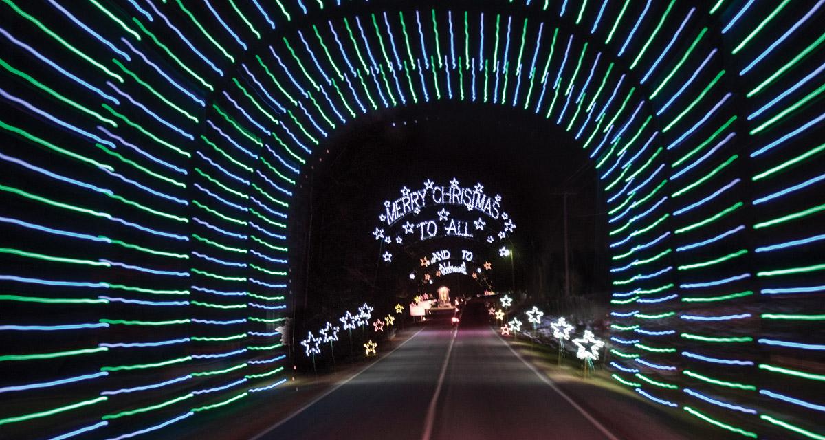 Finding the Wonder in the Tanglewood Lights