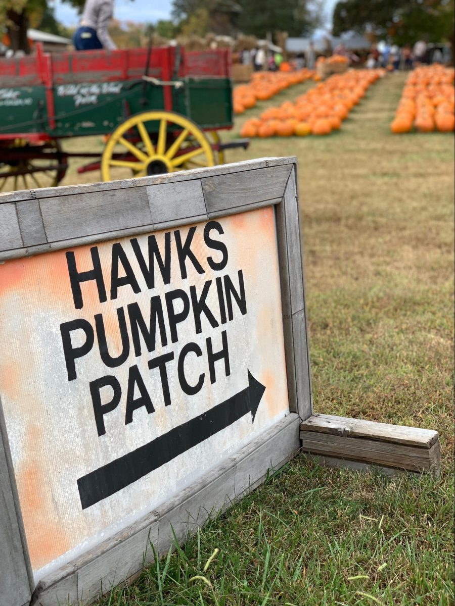 The sign for Hawks Pumpkin Patch welcomes visitors to peruse its collection of pumpkins.