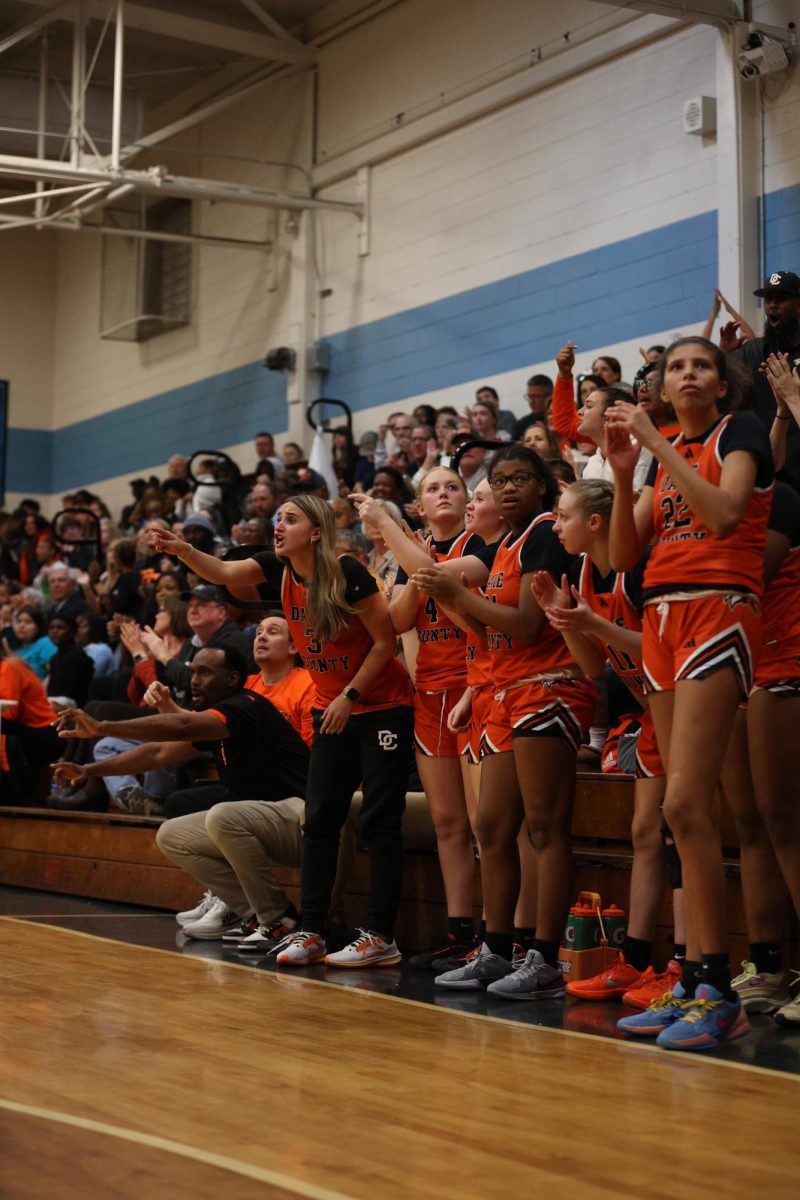 The War Eagles Women's Basketball team cheers for their teammates as senior Bailey Aderhold and coaches offer advice to the players on the court.