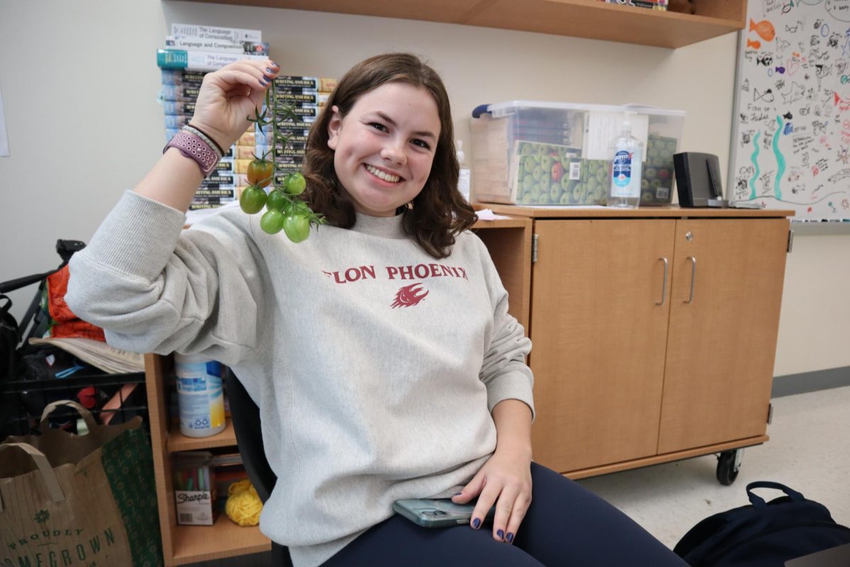 Riley McNeil holds up tomatoes harvested from the mysterious vine. 